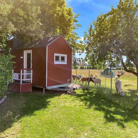 Villa Tiny House Auf Der Alpaka Farm à Rubkow Extérieur photo