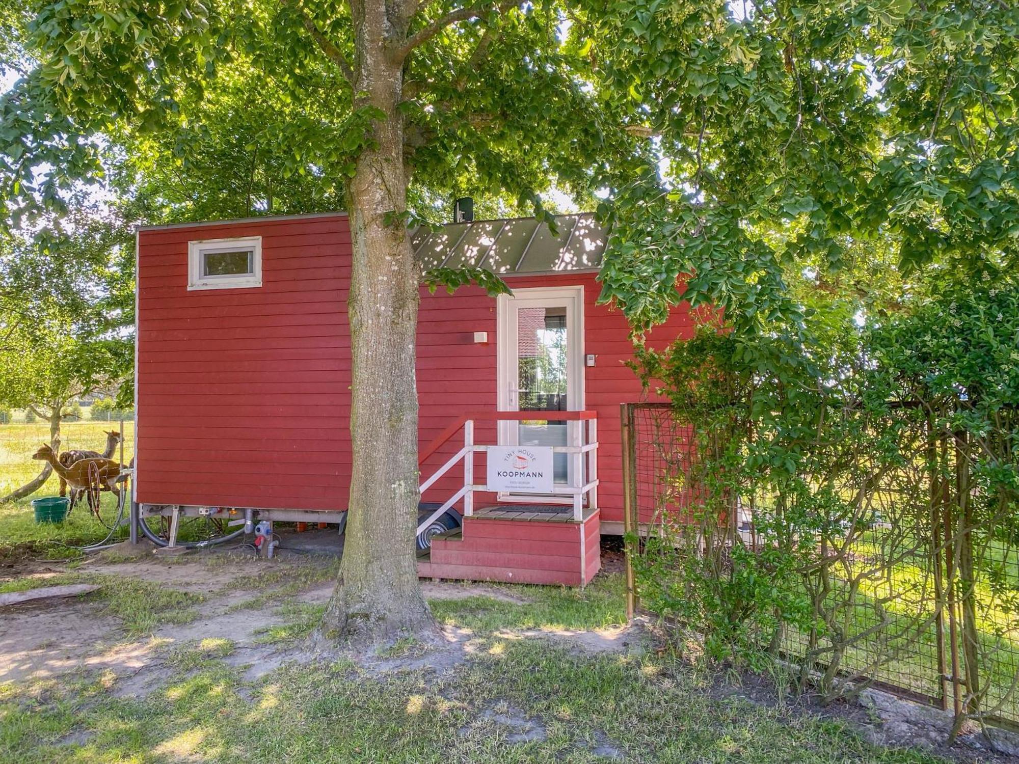 Villa Tiny House Auf Der Alpaka Farm à Rubkow Extérieur photo