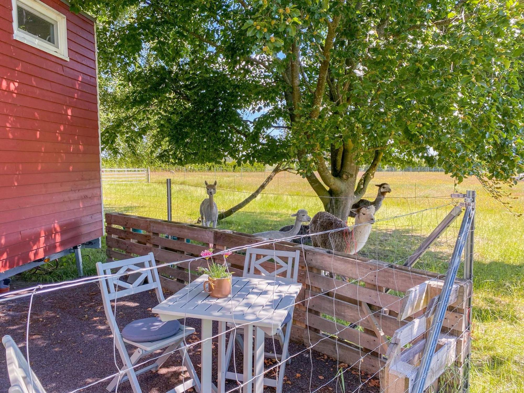 Villa Tiny House Auf Der Alpaka Farm à Rubkow Extérieur photo